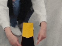 외출준비가 끝난 댕댕이