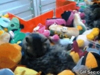 인형뽑기 사장의 치졸한 상술gif