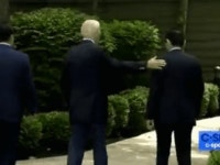 풍양조씨 할아버지의 따뜻한 손길.gif | 정치유머 게시판 풍양조씨 할아버지의 따뜻한 손길.gif | 정치유머 게시판 | 루리웹