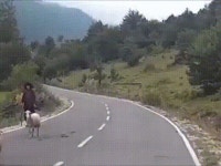 양꼬치 땡기는 짤