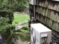 야생 아기토끼의 소박한 쉼터.gif | 유머 게시판 야생 아기토끼의 소박한 쉼터.gif | 유머 게시판 | 루리웹