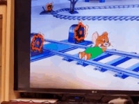 톰과 제리 보는 냐옹이들