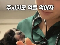 견생의 쓴ㅁㅏㅅ