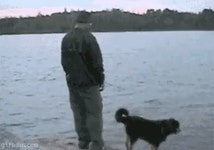 으이구 주인아 ㅉㅉgif