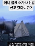 소가 내 신발 신고 갔다니까 | 유머 게시판 소가 내 신발 신고 갔다니까 | 유머 게시판 | 루리웹