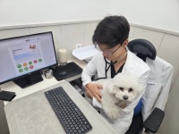 그린벳(반려동물 검진 키트) - 기업정보 | 투자, 매출, 기업가치 - THE VC