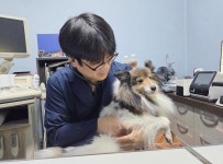 그린벳(반려동물 검진 키트) - 기업정보 | 투자, 매출, 기업가치 - THE VC