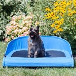 Pet Supplies Carriers Gen7Pets G3336TBS Cool-Air Cot 36 Carriers Small Animals Trailblazer Blue kopa.or.kr