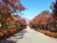 기념관소식 > 자세히 보기 | 소식 | 독립기념관