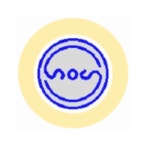 인성여자중학교