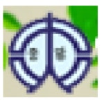 충주중앙초등학교 :: 공지사항 :: 2022학년도 충주중앙초 신입생 예비 소집일정 안내