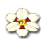 횡성여자고등학교 :: 공지사항 :: 2022학년도 횡성여자고등학교 교복 학교주관 구매 업체 선청 입찰공고