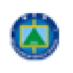 늘푸른중학교 :: 가정통신문 :: 2022학년도 교육과정 내 동아리 온라인 부서 조직 안내