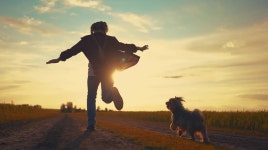 The Best Vacation Destinations In The US Where Dog Lovers Will Absolutely Thrive, According To Reviews | Flipboard