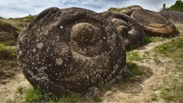 Trovants Are Stones That Seem to Grow, Move and Reproduce | Flipboard Trovants Are Stones That Seem to Grow, Move and Reproduce