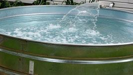 Travel | @adrew3993 | Flipboard