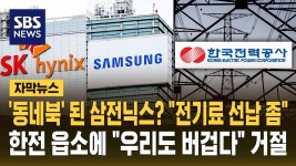 '동네북' 된 반도체 콤비? 