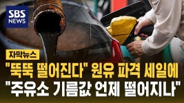 [자막뉴스] 뚝뚝 떨어진다 원유 파격 세일에…주유소 기름값 언제 떨어지나 | Flipboard