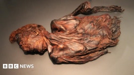 Violent death in the bogs of Ireland - BBC News Violent death in the bogs of Ireland