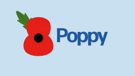 What is Remembrance Day? - BBC Newsround What is Remembrance Day?