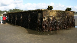 Costing the Earth - Tsunami Debris - BBC Sounds