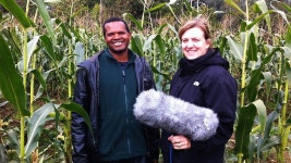 On Your Farm - White Maize in Enfield - BBC Sounds