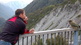 Deadly 60 - Series 3: 8. New Zealand - BBC iPlayer Deadly 60 - Series 3: 8. New Zealand