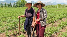 BBC Radio 4 - The Food Programme, Albania and the Cheese Road