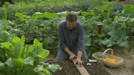 BBC Two - Gardeners World, 2022, Episode 23, Chinese cabbage