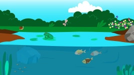 Science KS2: How do ecosystems work? - BBC Teach Science KS2: How do ecosystems work?