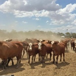 The Compass - My Perfect Country - Making a Difference - BBC Sounds