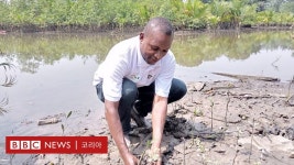 기후변화:환경을 살리기 위해 인생까지 바꾼 사람들 - BBC News 코리아