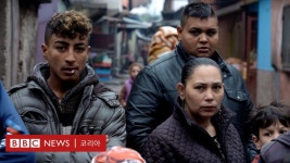 개들도 이런 곳에서 살 수 없다...유럽 집시들의 주거 실태 - BBC News 코리아