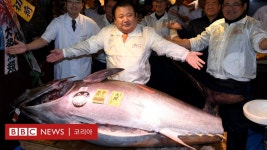 일본: 츠키지 수산시장이 83년 만에 문을 닫는다 - BBC News 코리아