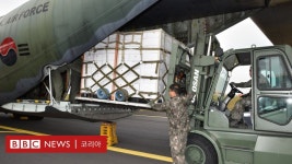 청와대: 감귤 200톤 대북 전달… 북미관계 교착 속 남북관계 모멘텀 이어간다는 한국정부 의지 - BBC News 코리아