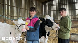 Farmers warn of ‘no future’ as milk prices fall below cost