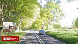 Car driver dies near Badbury Rings in single-vehicle crash