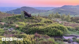 Staffordshire conservation push to find key plants and animals