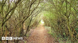 Englands Big Picture: 24 July - 30 July 2023 - BBC News Englands Big Picture: 24 July - 30 July 2023