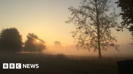Oxfordshires Big Picture - BBC News Oxfordshires Big Picture