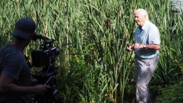 Cambridge: Photography exhibition will showcase gardens beauty - BBC News Cambridge: Photography exhibition will showcase garden... 