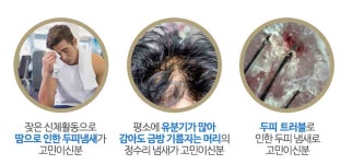 다모 초기탈모 3스텝 두피 힐링키트 - 예스24
