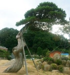 울진향 나무 판매 - 산림경영지원