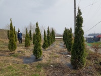 에메랄드그린 농장정리 - 산림경영지원