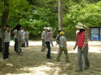3차(5월 6일 풍성초등학교 6학년) - 산림조합중앙회 산림조합중앙회