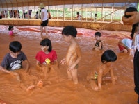 즐거운 목공교실 행사갤러리 - 산림조합중앙회