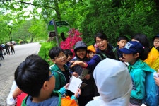 2015년도 3차 숲과의만남 서울갈산초등학교 - 산림조합중앙회 산림조합중앙회
