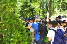 11차 숲과의 만남 행사 사진 서울 목원초등학교 - 산림조합중앙회 산림조합중앙회