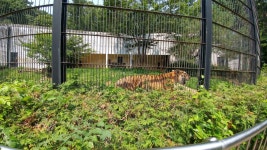 2016년 5차 6차 숲과의 만남 행사(서울삼전초등학교) 6월 21일, 28일 - 산림조합중앙회 산림조합중앙회