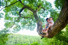봉화군산림조합(1종) | - 산림조합중앙회